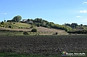 VBS_5344 - La solita strada... il grano da crescere, i campi da arare...